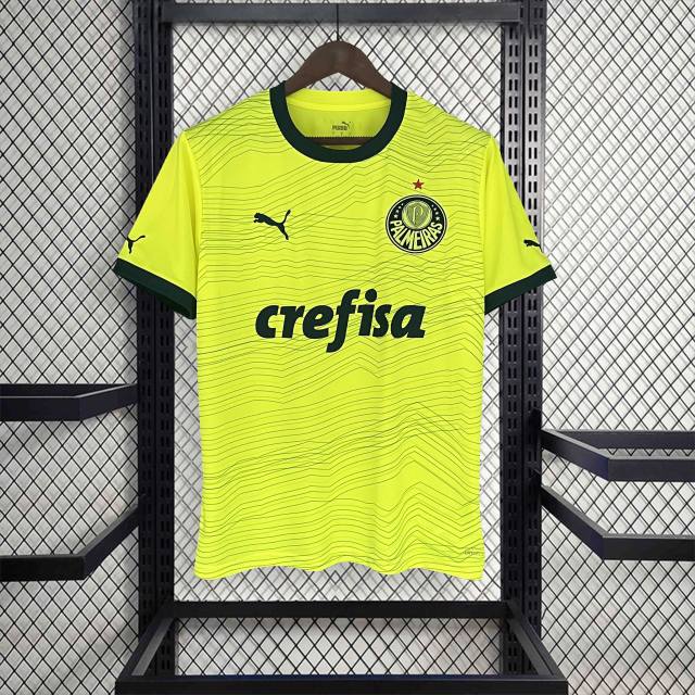 23-24 SE Palmeiras Third Away Jersey Fan Edition