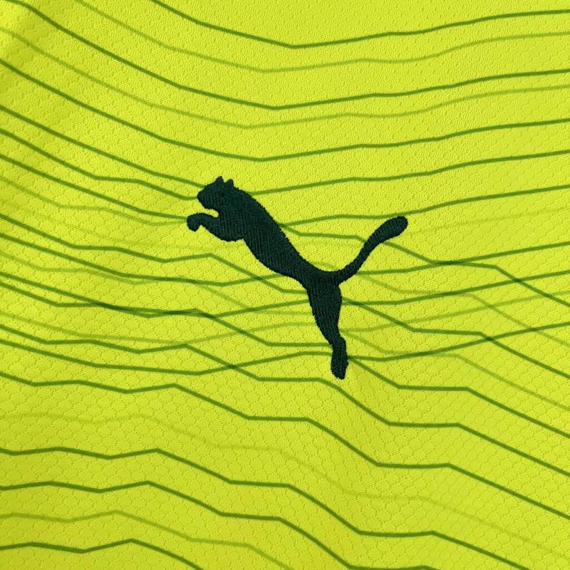 23-24 SE Palmeiras Third Away Jersey Fan Edition