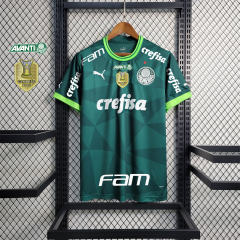 23-24 SE Palmeiras Home Jersey Fan Edition