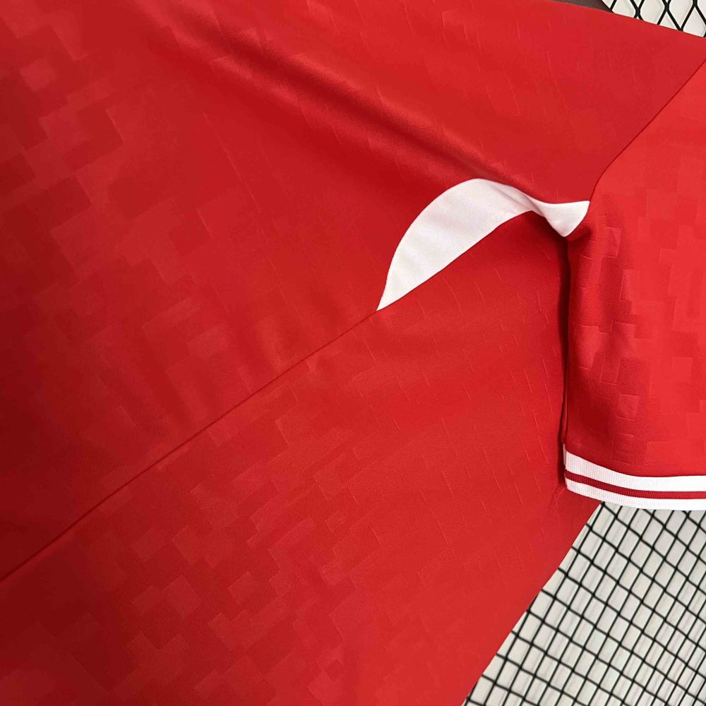 2024 Denmark Euro Cup Home Football Jersey
