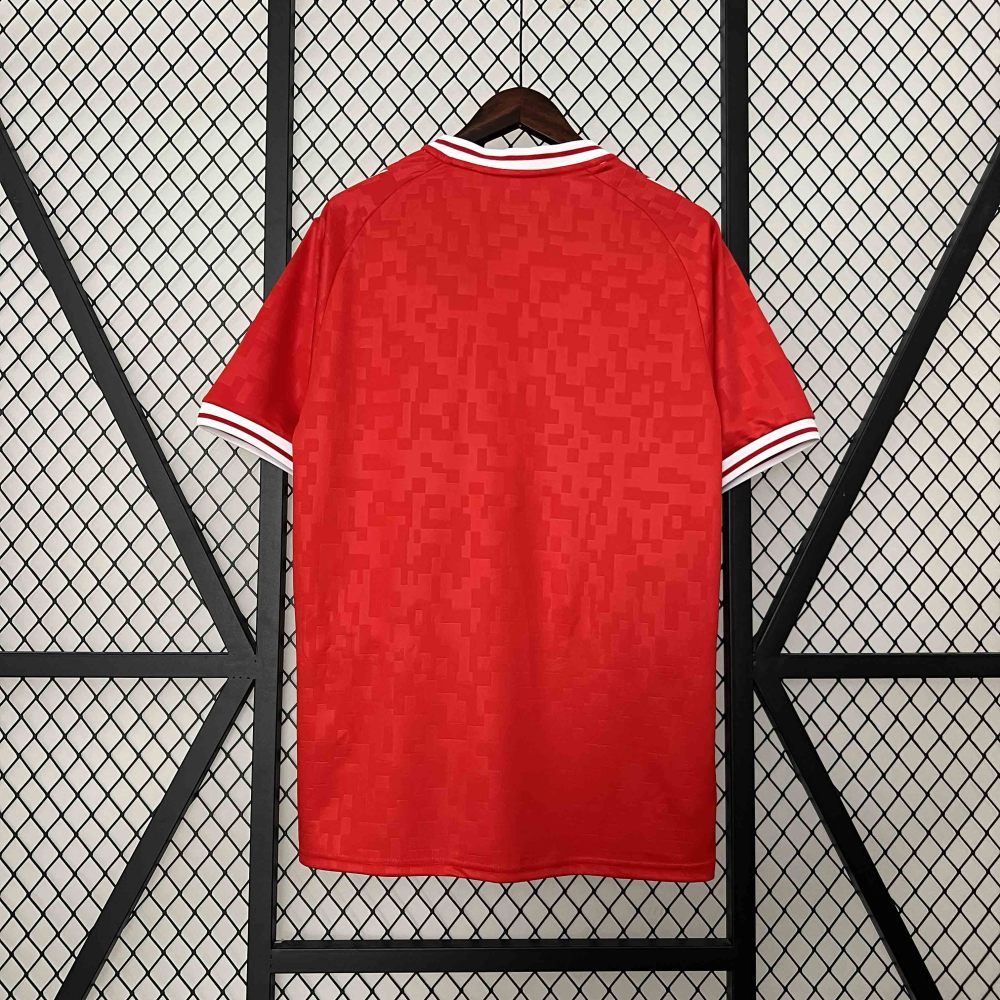2024 Denmark Euro Cup Home Football Jersey