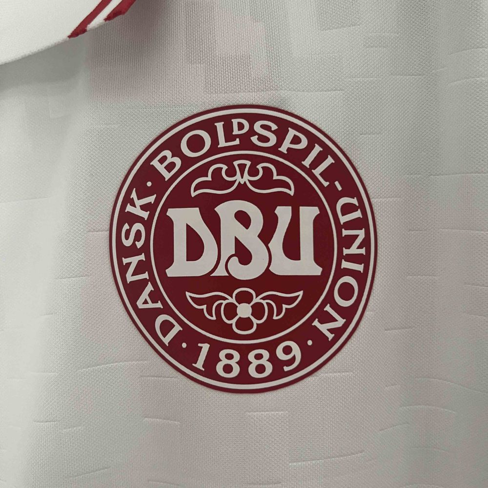 2024 Denmark Euro Cup Away Football Jersey