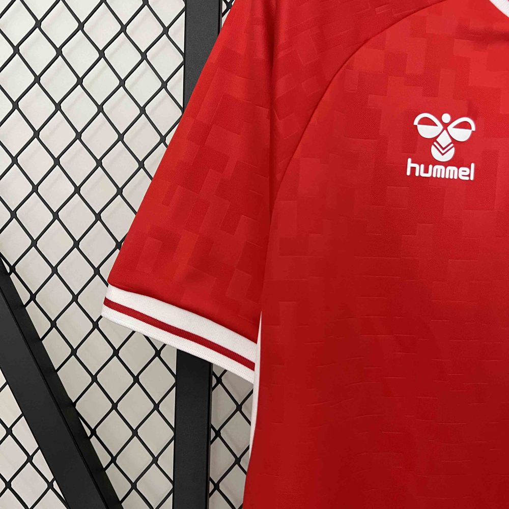 2024 Denmark Euro Cup Home Football Jersey
