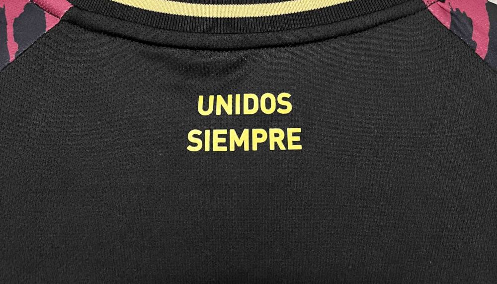 2024 Peru Copa America Away Soccer Jersey