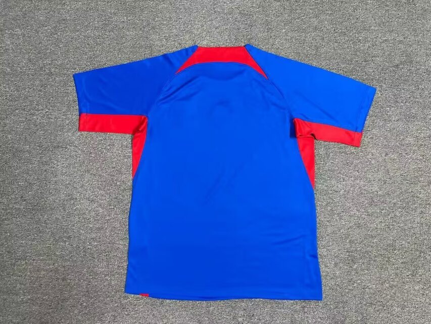 2024 Slovakia Euro Cup Home Football Jersey