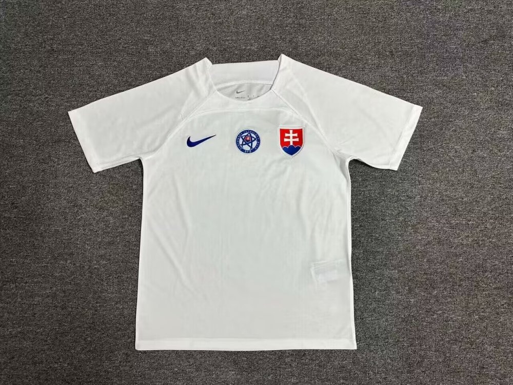 2024 Slovakia Euro Cup Away Football Jersey