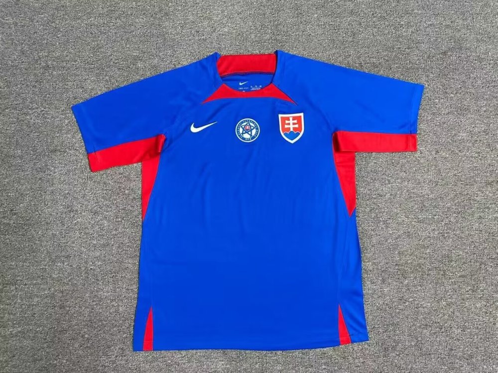 2024 Slovakia Euro Cup Home Football Jersey