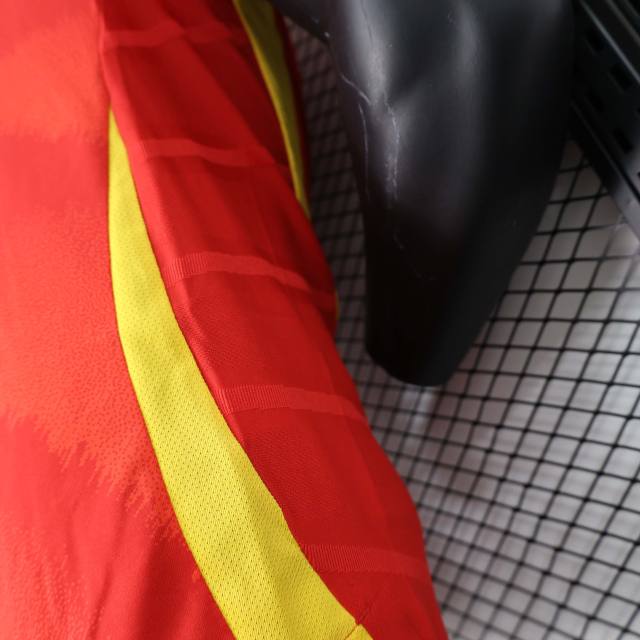 2024 Spain Euro Cup Home Football Jersey Player Version