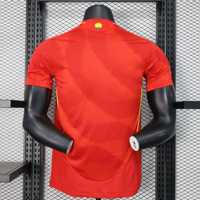 2024 Spain Euro Cup Home Football Jersey Player Version