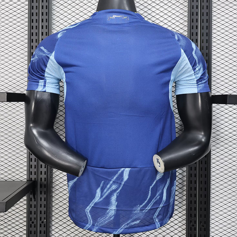 25-26 Ajax Away Soccer Jersey Player Version