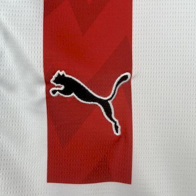 25-26 PSV Eindhoven Home Soccer Jersey