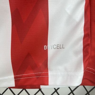 25-26 PSV Eindhoven Home Soccer Jersey