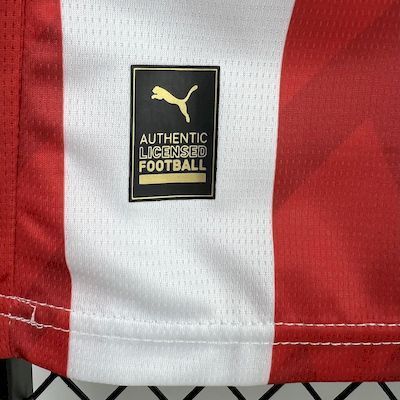 25-26 PSV Eindhoven Home Soccer Jersey