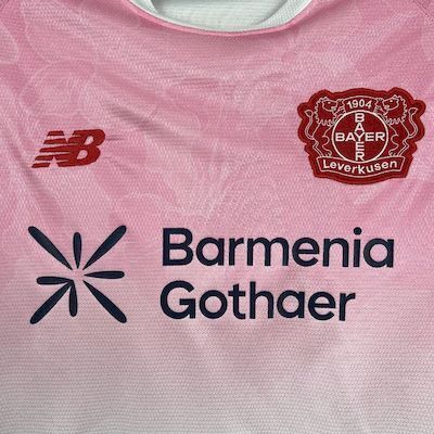25-26 Bayer 04 Leverkusen Away Soccer Jersey