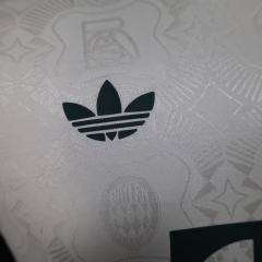 25-26 Bayern Munich Special Football Jersey