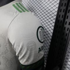 25-26 Bayern Munich Special Football Jersey
