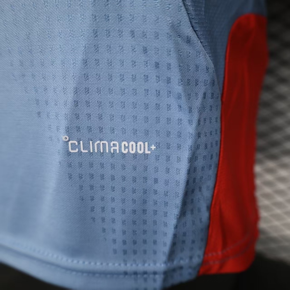 2026 Japan World Cup Home Soccer Jersey Player Edition