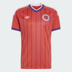 2026 Scotland Away World Cup Football Jersey