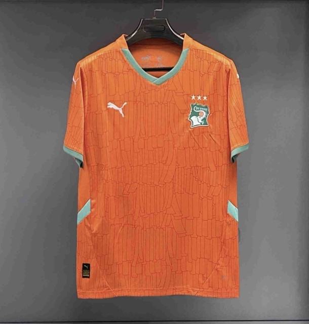 24-25 Ivory Coast Home Soccer Jersey