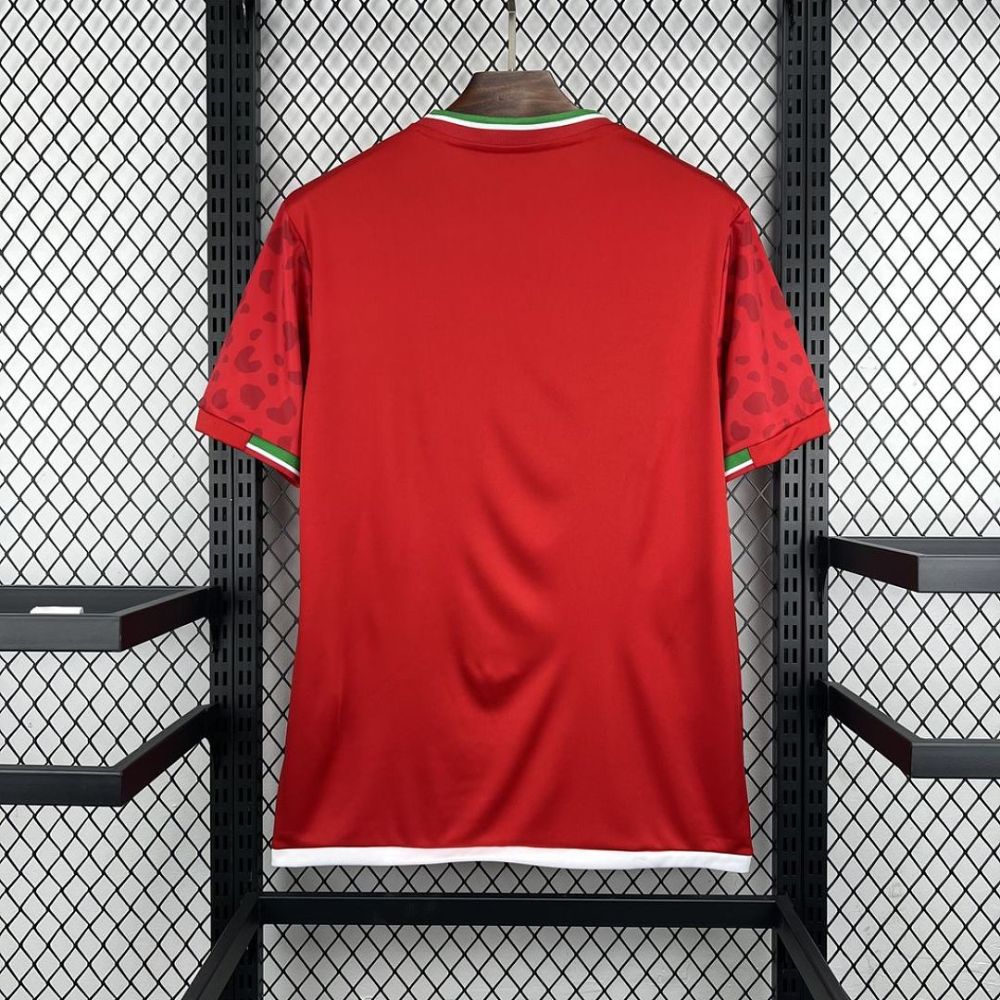 2026 Iran World Cup Away Soccer Jersey