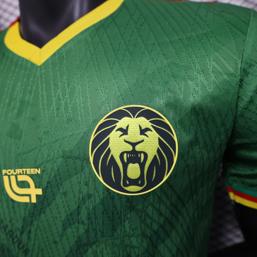 25-26 Cameroon Home Soccer Jersey Player Version