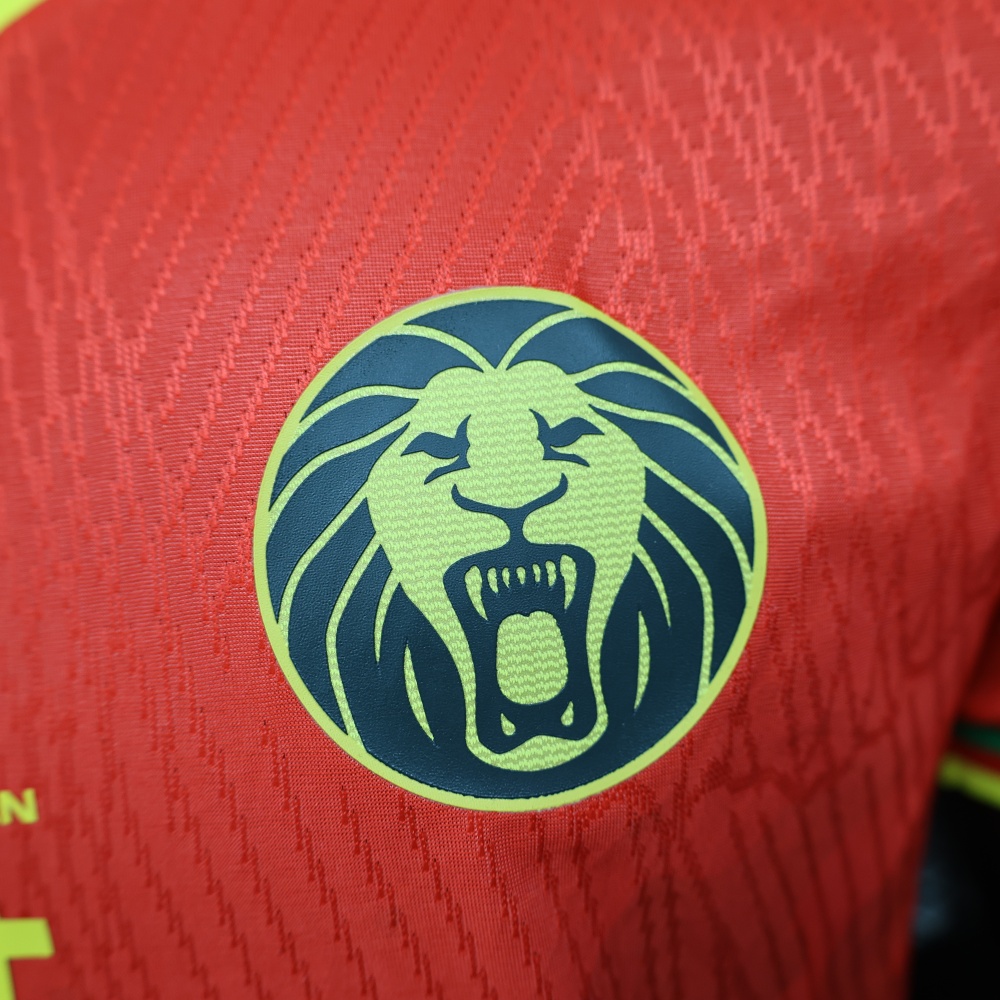25-26 Cameroon Away Soccer Jersey Player Version