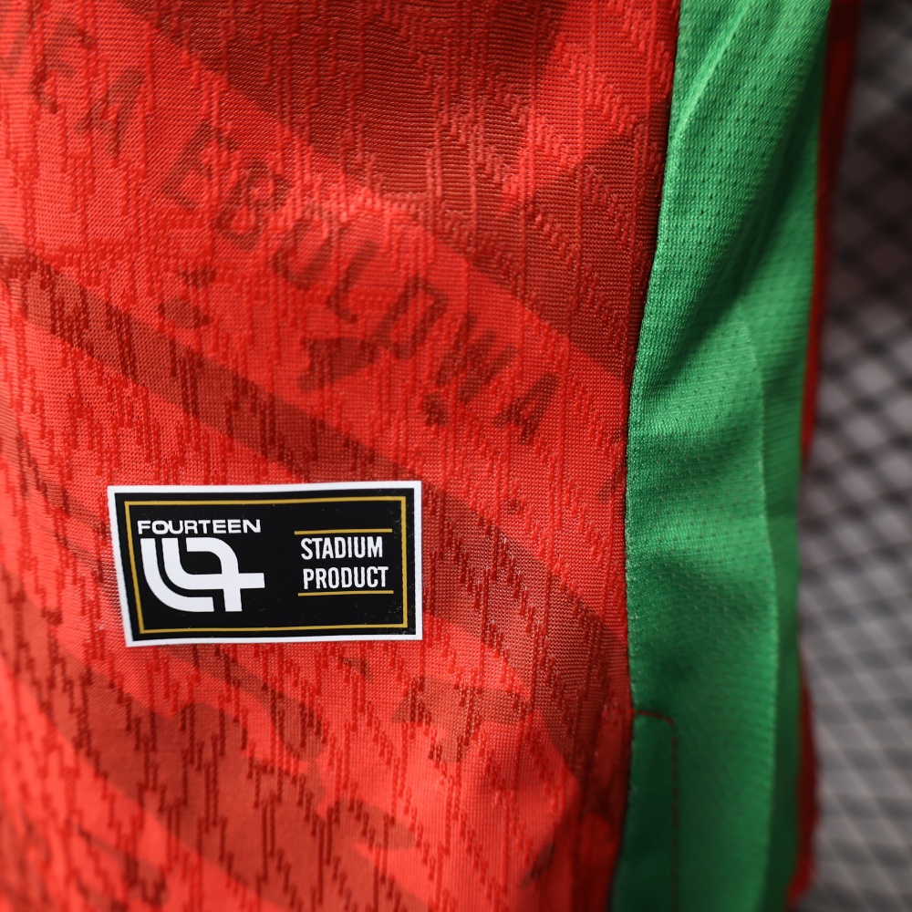 25-26 Cameroon Away Soccer Jersey Player Version