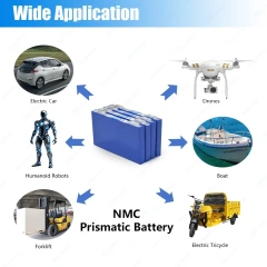 Starmax CATL 3.67V 5AH 5.2AH NMC Prismatic Battery for Humanoid Robots,Llithium Ion Battery Manufacturers from China