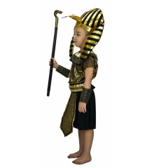 Custom & Wholesale Boy's Egyptian Priest Costume