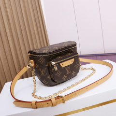 LV MINI BUMBAG handbag