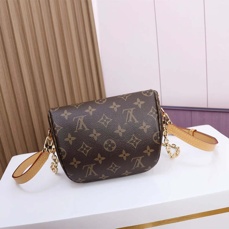 LV MINI BUMBAG handbag