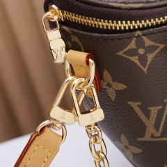 LV MINI BUMBAG handbag