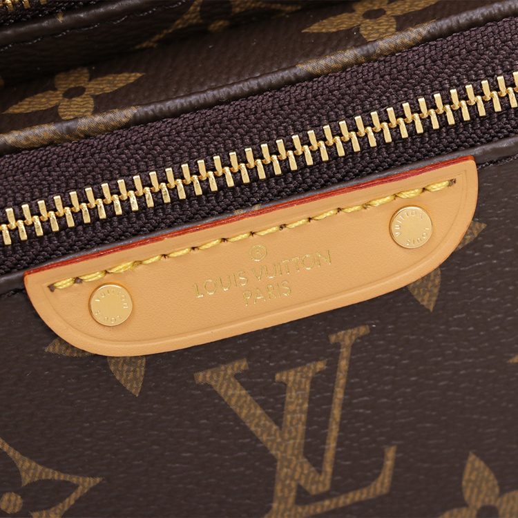 LV MINI BUMBAG handbag