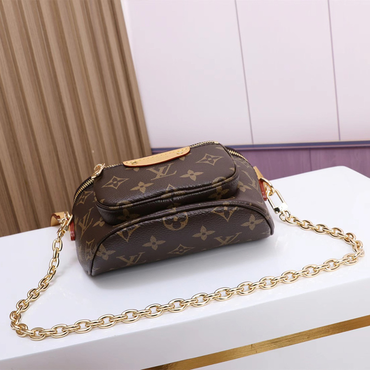 LV MINI BUMBAG handbag
