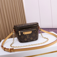 LV MINI BUMBAG handbag