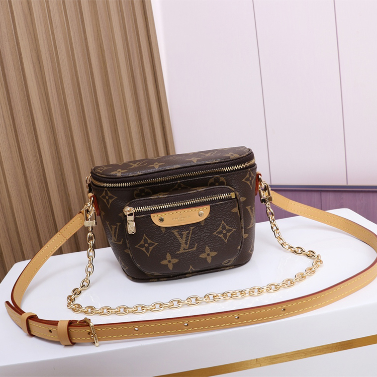 LV MINI BUMBAG handbag