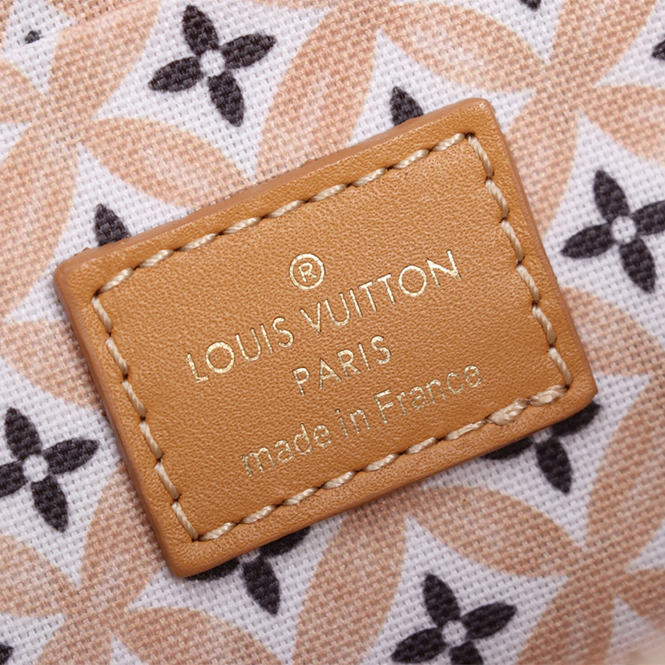 LV POCHETTE F É LICIE Chain Pack