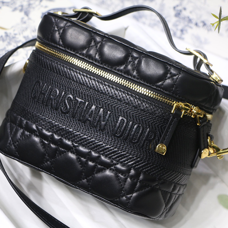 DIOR Small DIORTRAVEL VANITY handbag