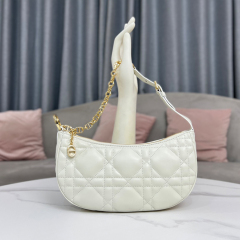 DIOR CD LOUNGE Handbag