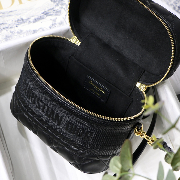 DIOR Small DIORTRAVEL VANITY handbag