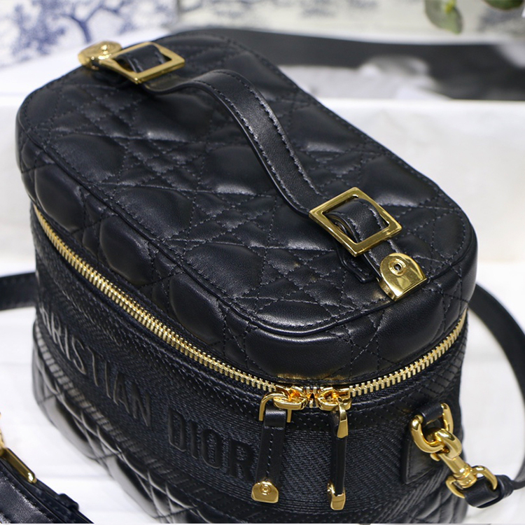DIOR Small DIORTRAVEL VANITY handbag