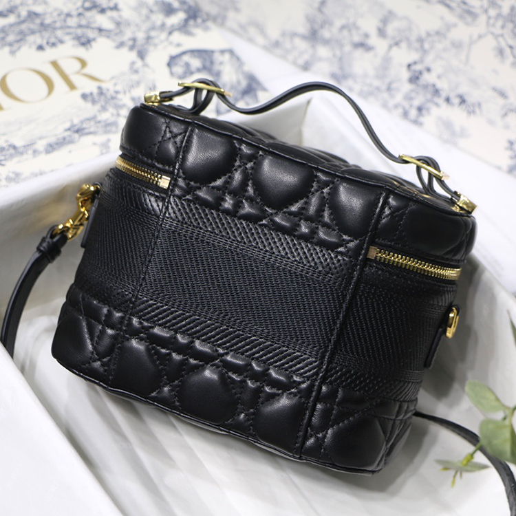 DIOR Small DIORTRAVEL VANITY handbag