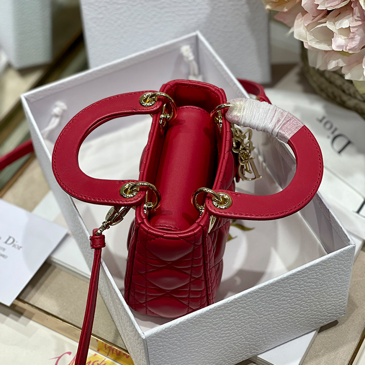 DIOR LADY DIOR Mini Handbag