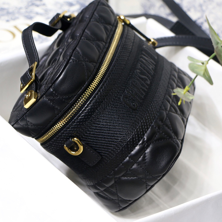 DIOR Small DIORTRAVEL VANITY handbag