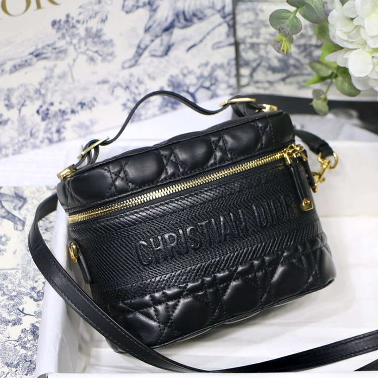 DIOR Small DIORTRAVEL VANITY handbag