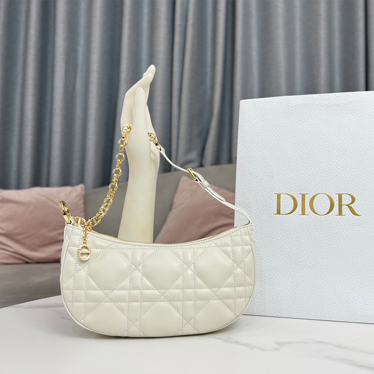 DIOR CD LOUNGE Handbag