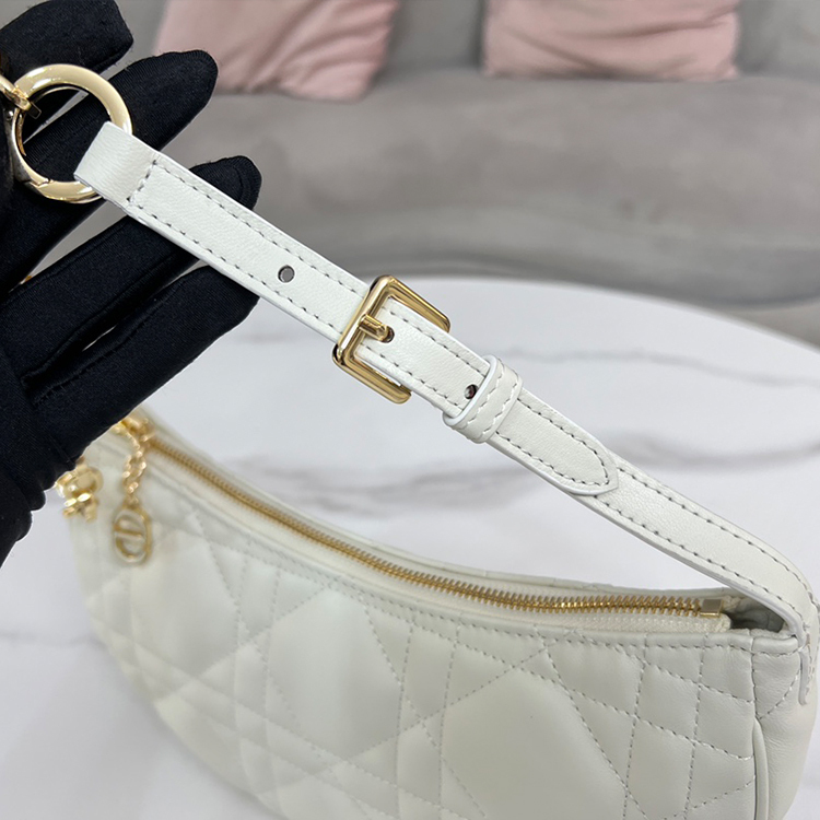 DIOR CD LOUNGE Handbag