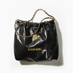 CHANEL 22 handbag