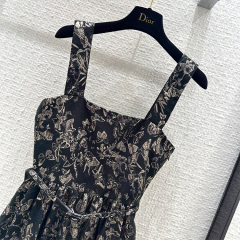 DIOR 2024 Spring Dress
