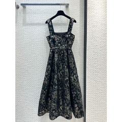 DIOR 2024 Spring Dress